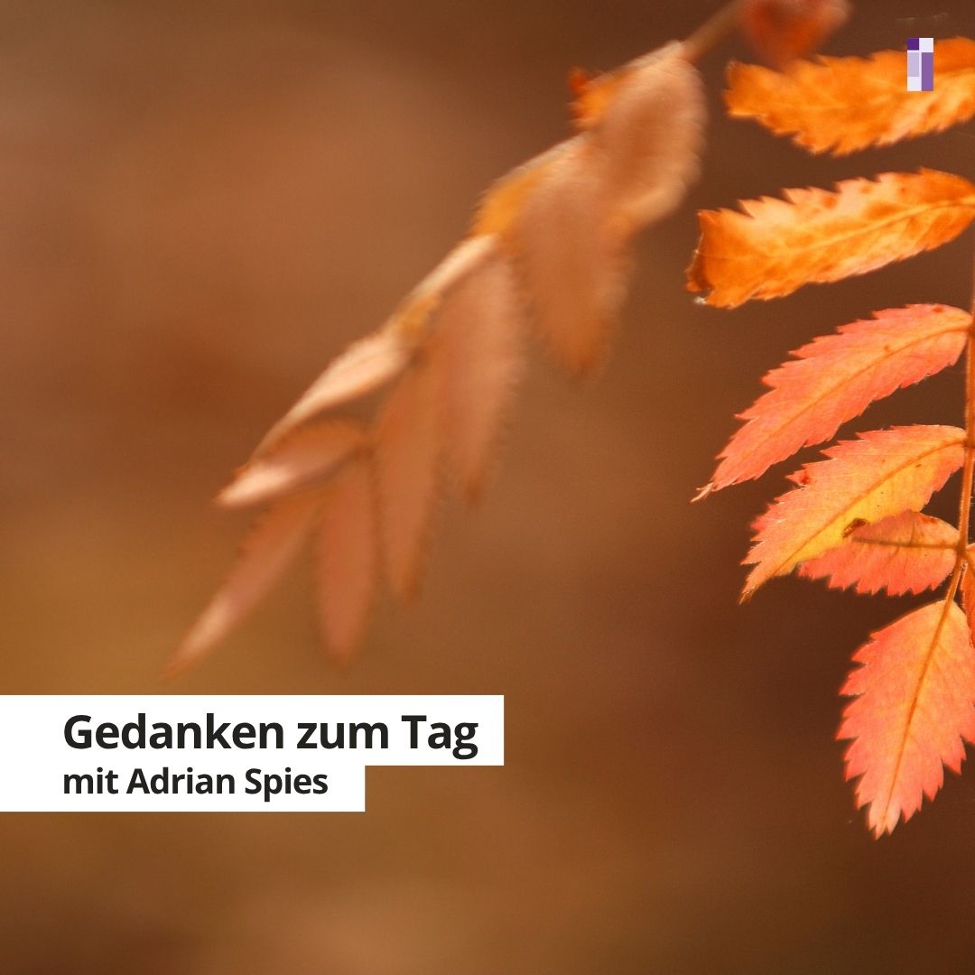 Gedanken zum Tag für die Woche 12.-18.10.2026